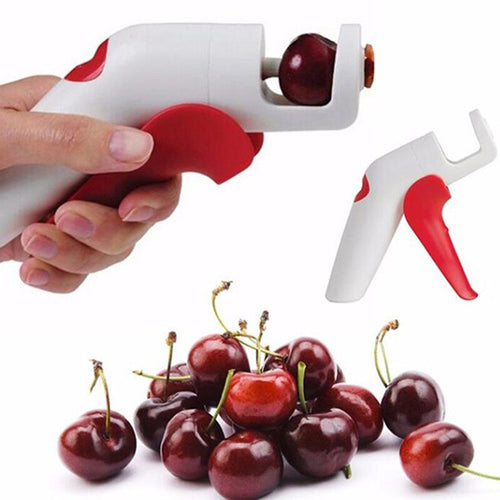 Cherry/Olive Pitter